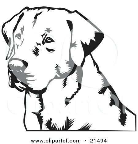 450x470 Labrador Retriever Coloring Pages Illustration Of A Retriever Dogs