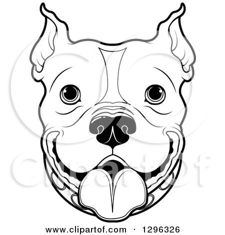 450x470 Pitbull Dog Face Drawing