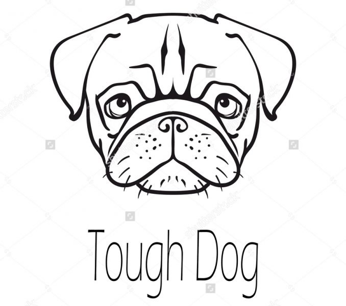 678x600 Pug Face Drawing Kids Coloring