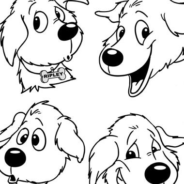 380x380 Ripley The Dog