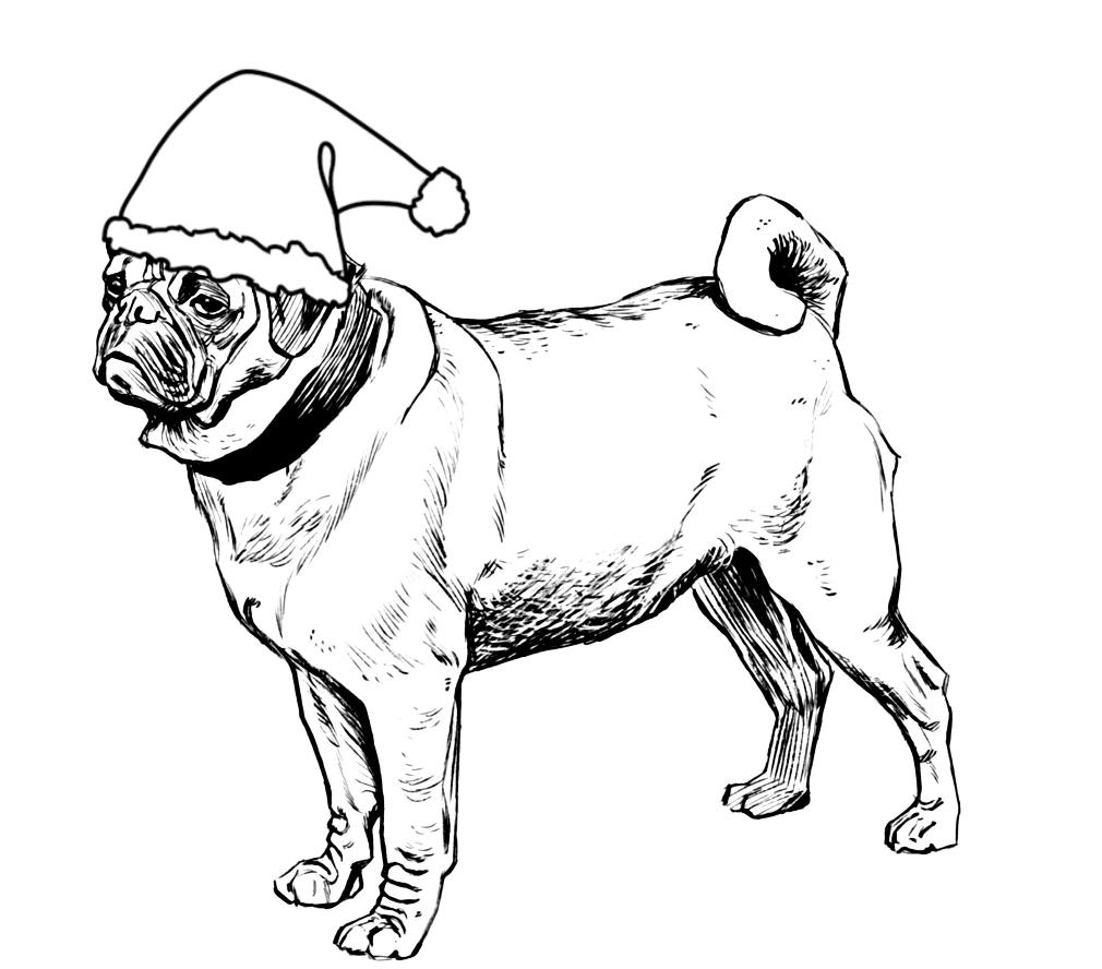 1010x888 Puppy Coloring Cute Pug Dog Pages Pictures To Color Free Printable