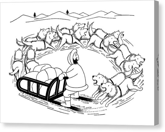 546x437 Dog Sled Canvas Prints Fine Art America