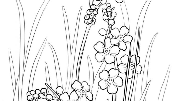 725x425 Dog Sled Coloring Page Sled Dogs, Winter Scenes And Crayons