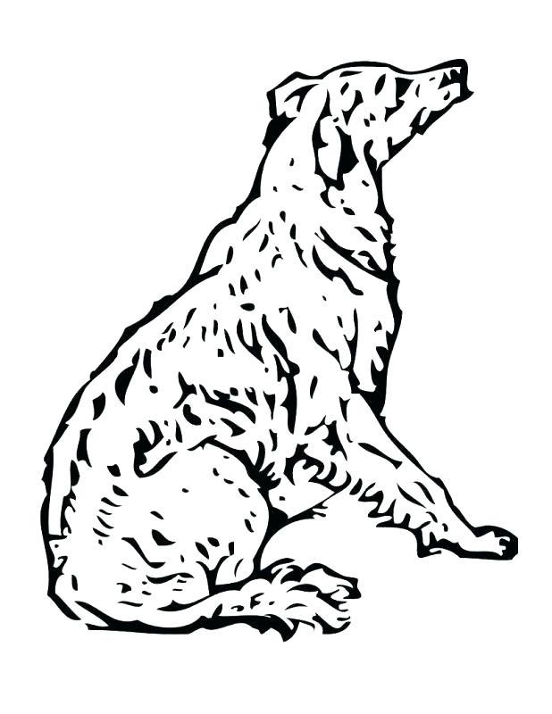 618x800 Sled Dog Coloring Pages Poodle Coloring Pages Best Coloring Pages