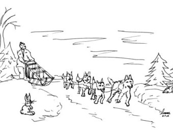 340x270 Sled Dogs Etsy