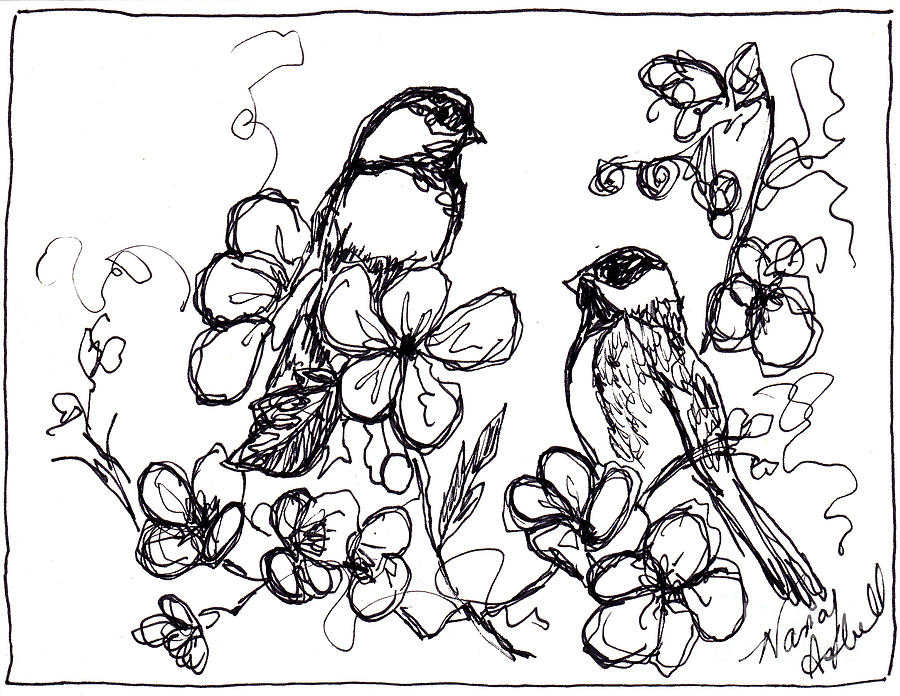 900x696 Dogwood Flower Drawings Fine Art America