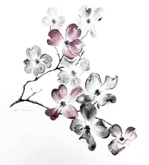 510x567 Dogwood Flower Drawing For Tattoos Pictures To Pin
