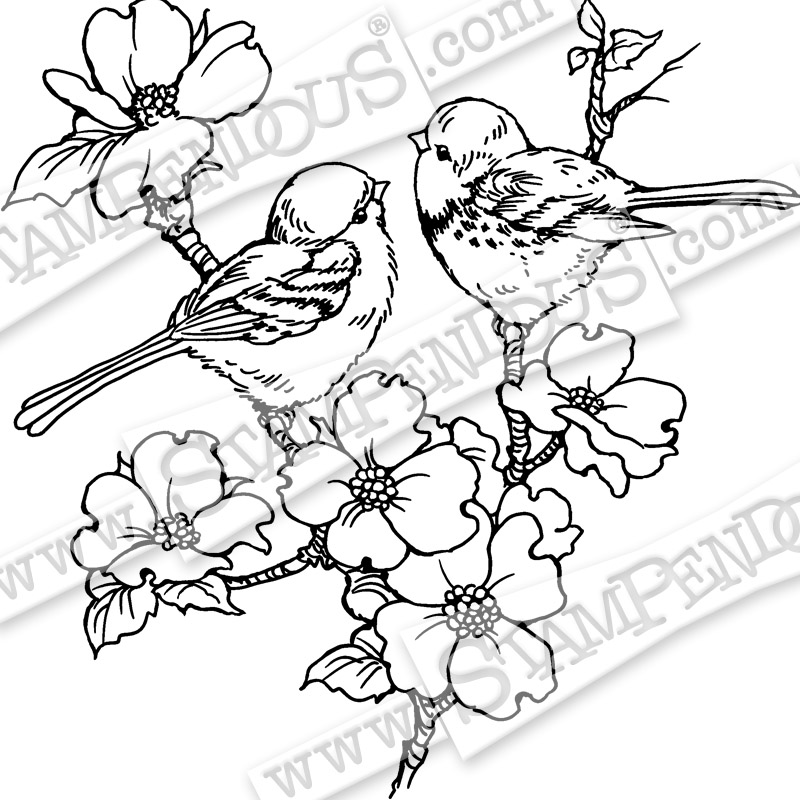 800x800 Dogwood Birds Rubber Stamp