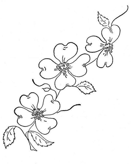 512x640 Dogwood Blossom Clipart