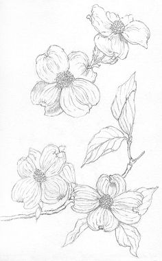 236x380 Dogwood Flower Tattoo Tattoos Dogwood Flower