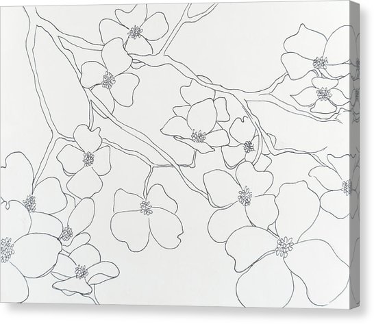 546x473 Dogwood In Bloom Drawing By Tessa Easley