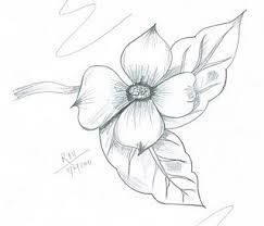 243x208 47 Best Blossoms Images On Drawing Flowers, Paint