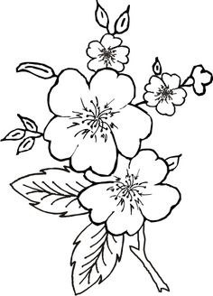 236x328 Simple Flower Coloring Page