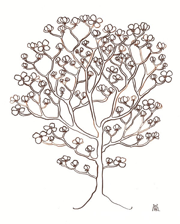 600x746 Dogwood Tree Flower Drawing