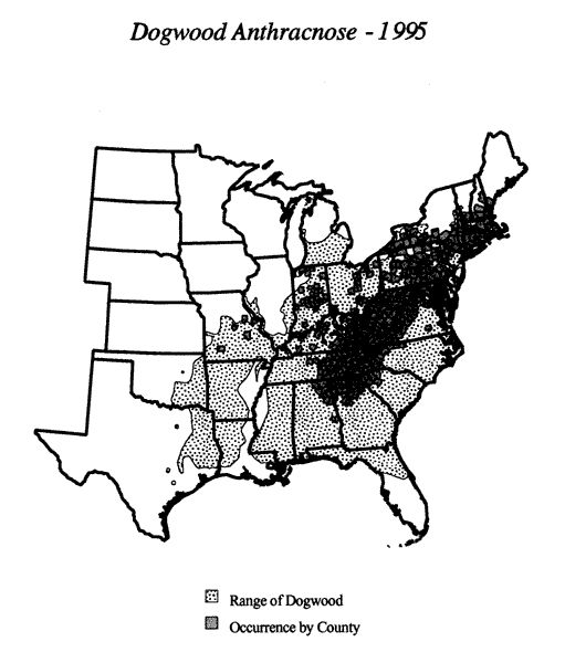 511x600 Exotic Pests Of Eastern Forests