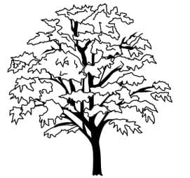 271x254 Can You Pass A 3rd Grade Science Test Playbuzz