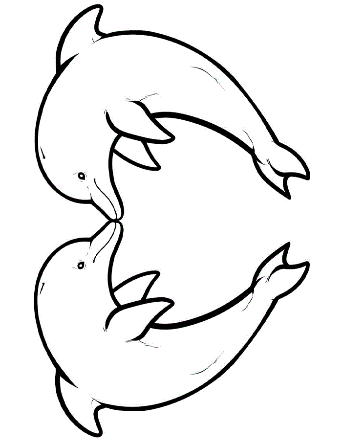 700x910 Dolphin Cartoon Image