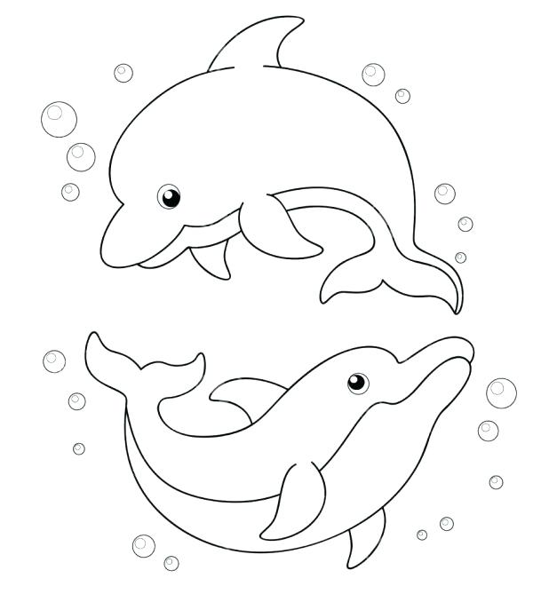 618x678 Dolphin Picture To Color