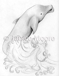 231x300 Dolphin Dancing The Ocean Waves Drawing