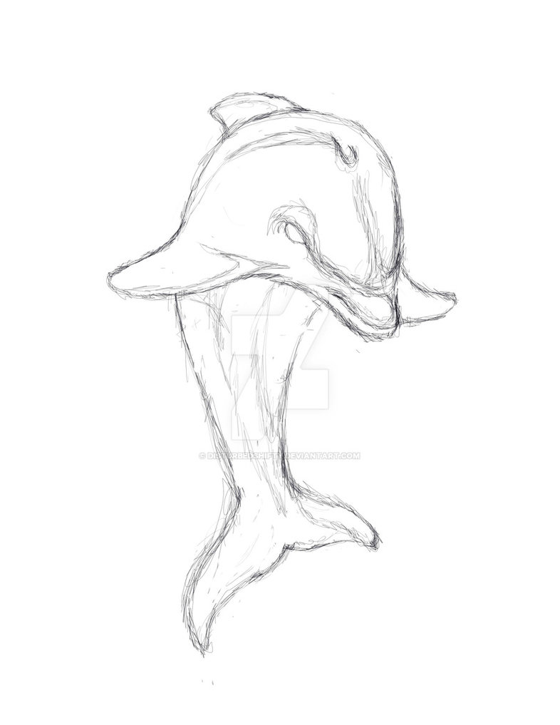 786x1017 Dolphins Concept Sketch By Disturbedshifty