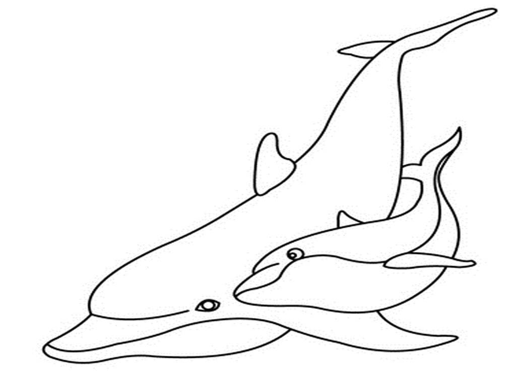 1024x768 Simple Dolphin Drawing Dolphin Coloring Pages To Print Coloring