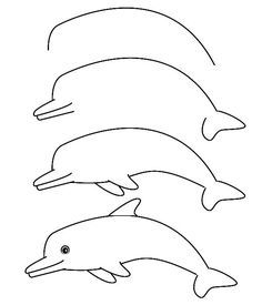 Dolphin Drawing Easy