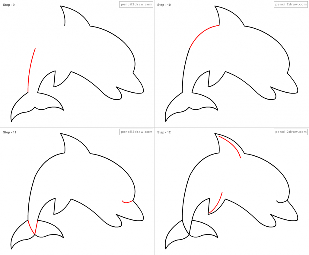 1024x845 How To Draw A Dolphin For Kids Easy Way To Draw A Dolphin Youtube