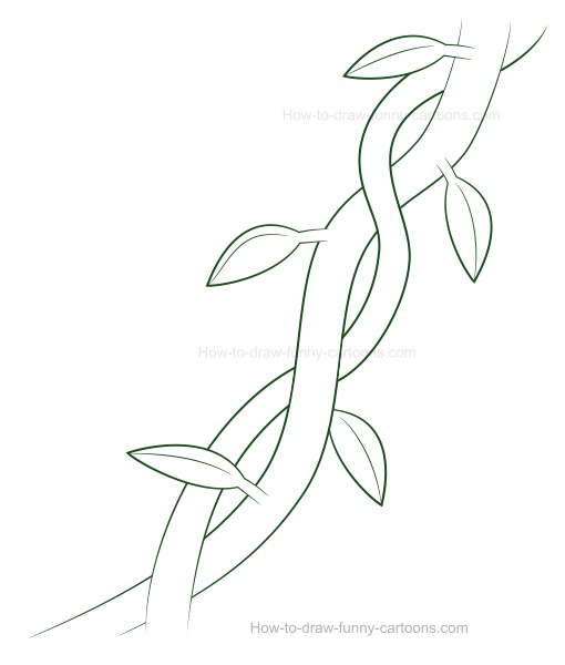 510x600 How To Draw Vines