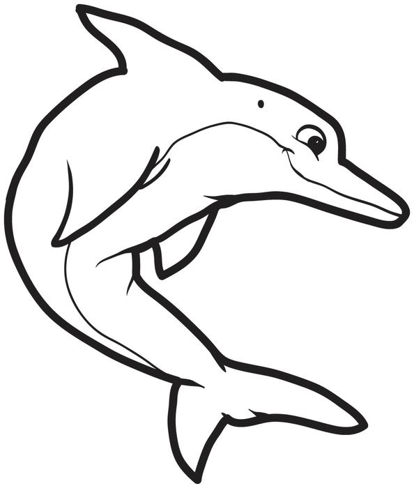 594x700 Free, Printable Dolphin Coloring Page For Kids
