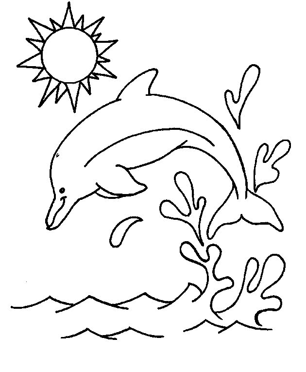 630x765 Kids N 16 Coloring Pages Of Dolphins