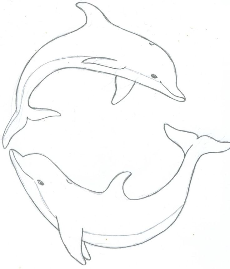 736x862 Painting Dolphin Clipart, Explore Pictures