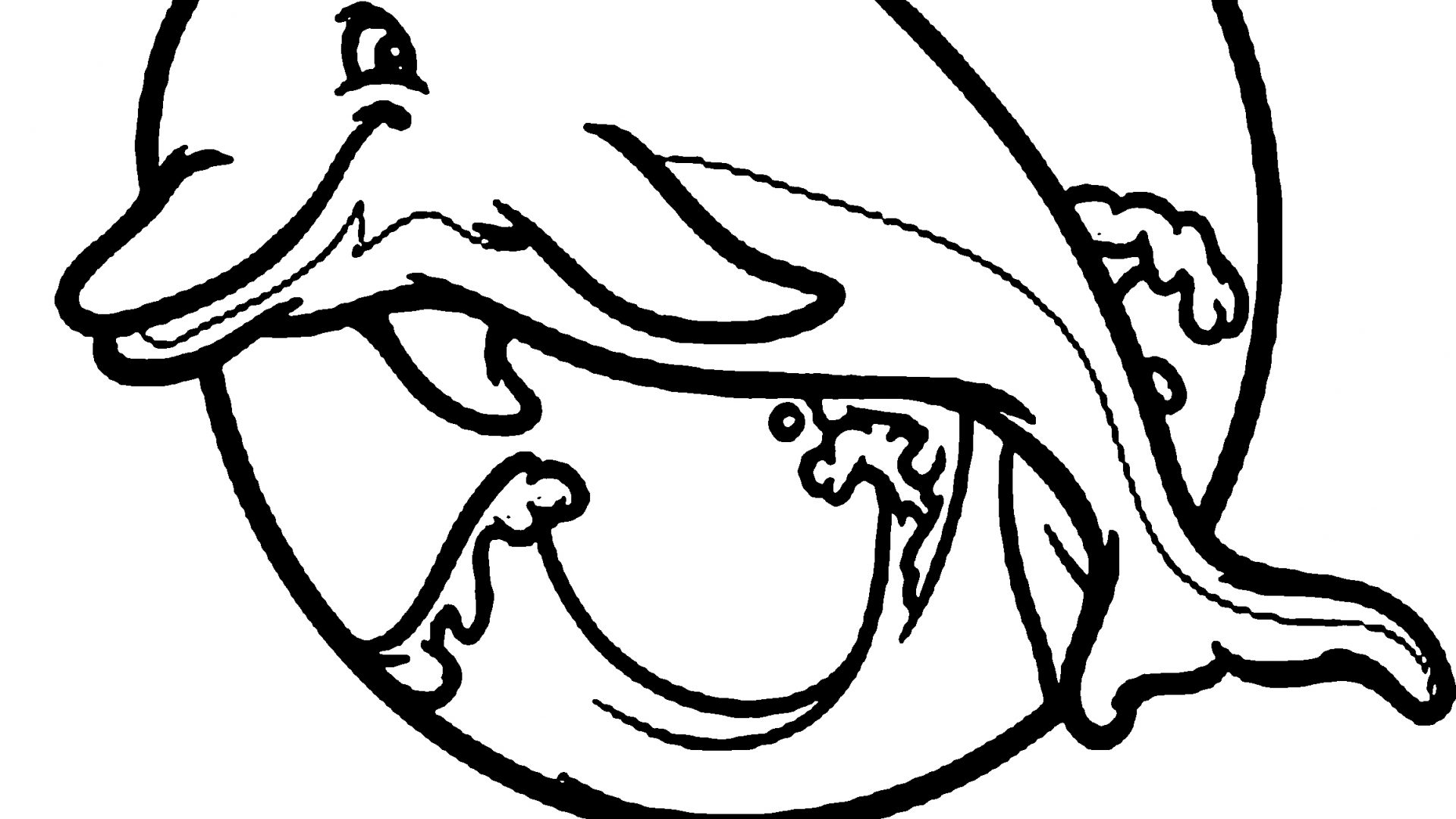 1920x1080 Popular Dolphin Coloring Pages Cool Gallery Printable For Kids