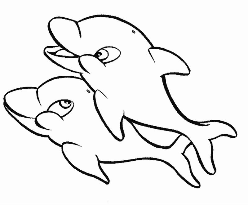 800x661 Baby Dolphin Coloring Pages For Kids Printable Printable