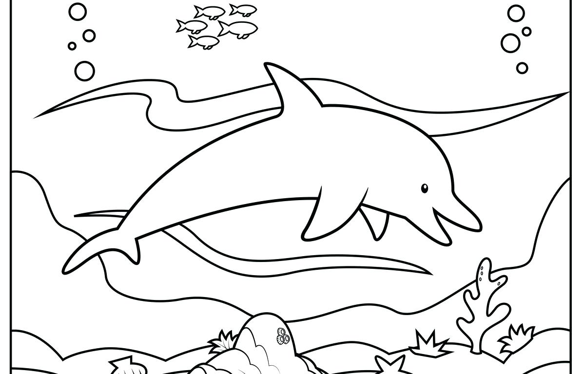 1200x768 Coloring Dolphins Coloring Pages Dolphin Outline. Dolphins