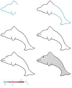 236x286 Dolphins Animal Drawingspictures Drawing Pictures