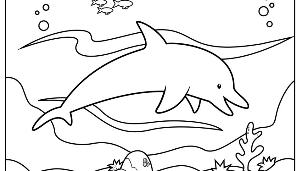 960x544 Dolphins Coloring Pages Free Printable Animals Dolphin Sheets