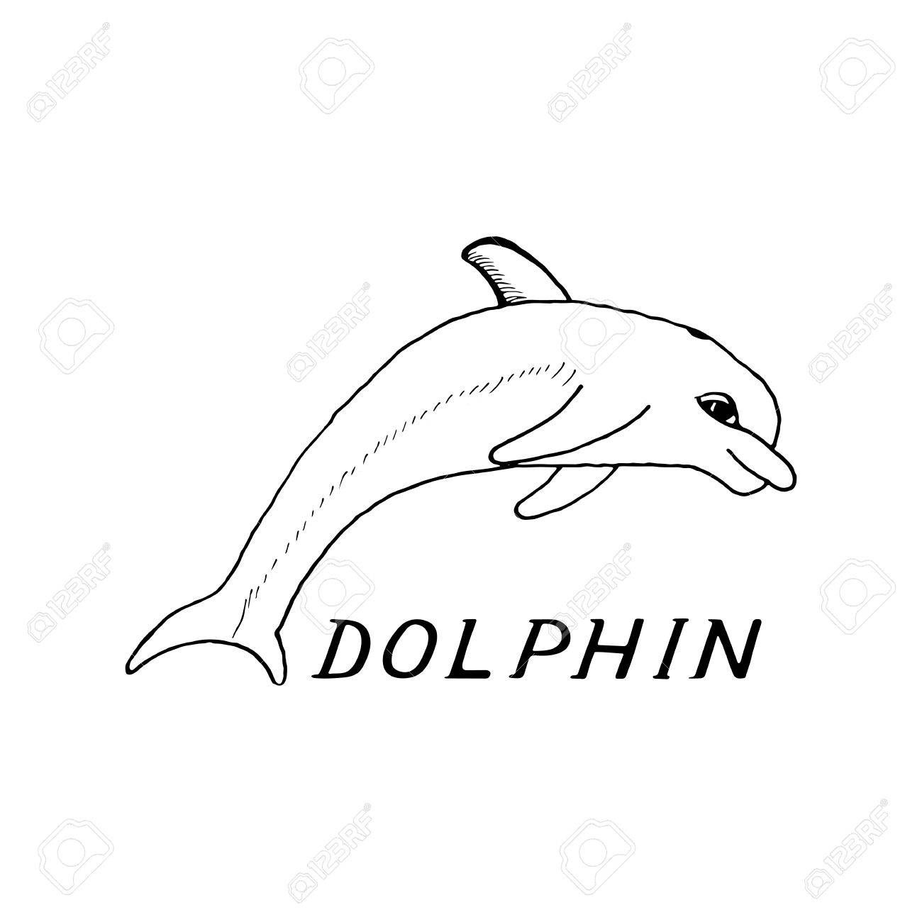 1300x1300 Hand Draw A Sketch In The Style Of A Dolphin On A White Background