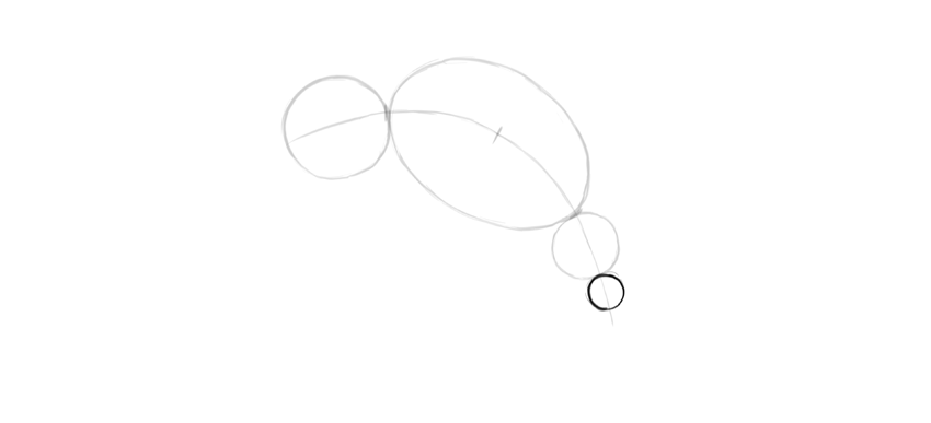 850x387 How To Draw A Dolphin Step By Step