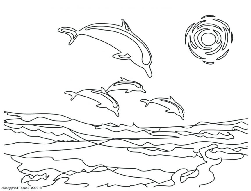 863x657 Cartoon Drawing Dolphin Art Library Miami Pictures Color Dolphins
