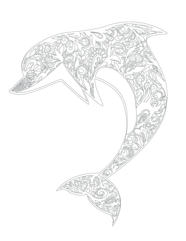 736x952 Coloring Page Dolphin Dolphin The Fish Jump In The Sea Coloring