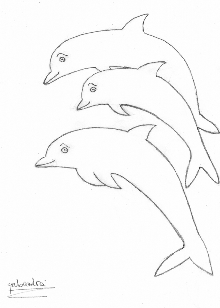 732x1024 Drawings Of Dolphins How To Draw A Jumping Dolphin Step Step Sea