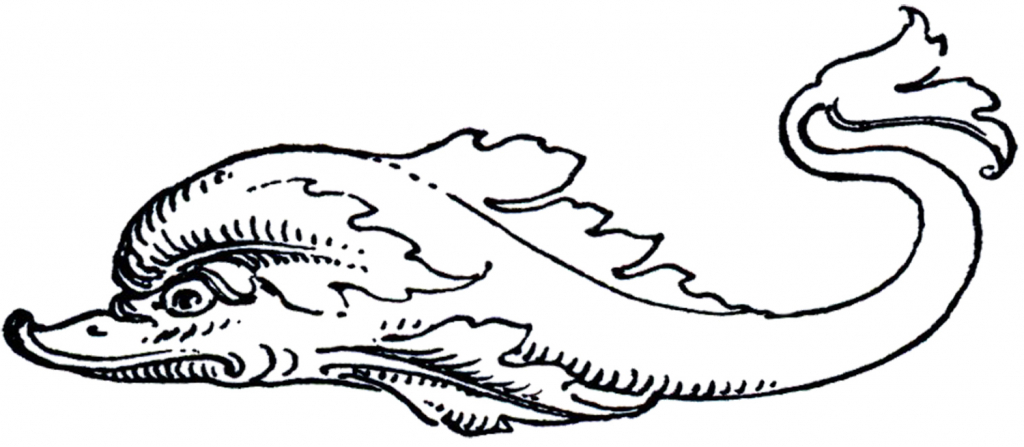 1024x447 Simple Dolphin Drawing Vintage Dolphin Images Ornate And Simple