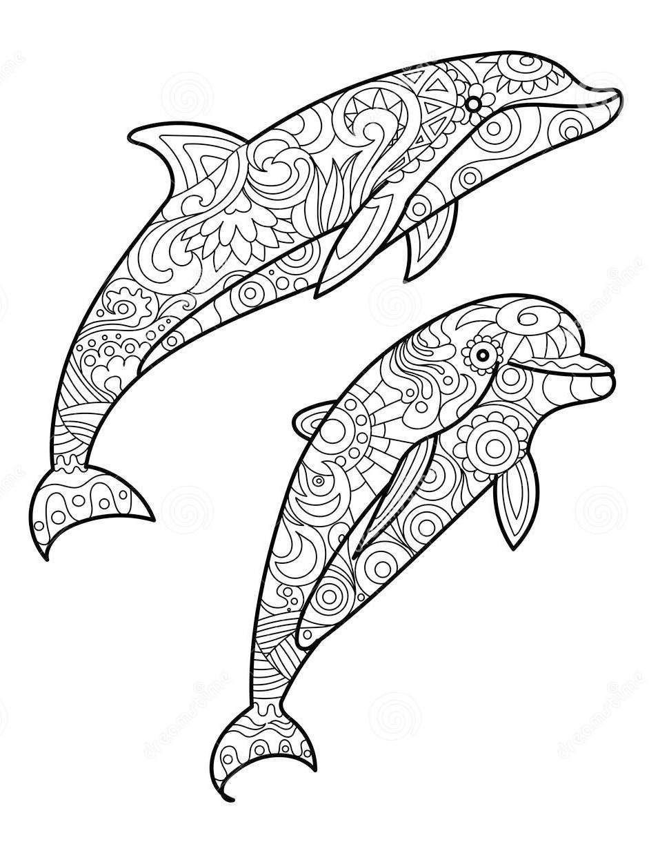 970x1220 Zentangle Dolphin Drawing Art Coloring Pages Amp Designs