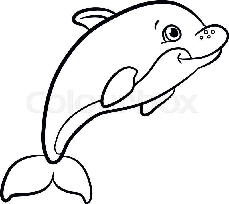 800x711 Coloring Pages. Marine Wild Animals. Little Cute Baby Dolphin