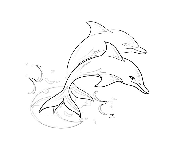 Line Drawing Dolphin at GetDrawings | Free download