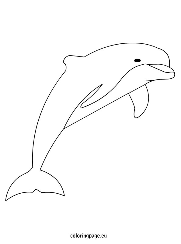 595x804 Dolphin