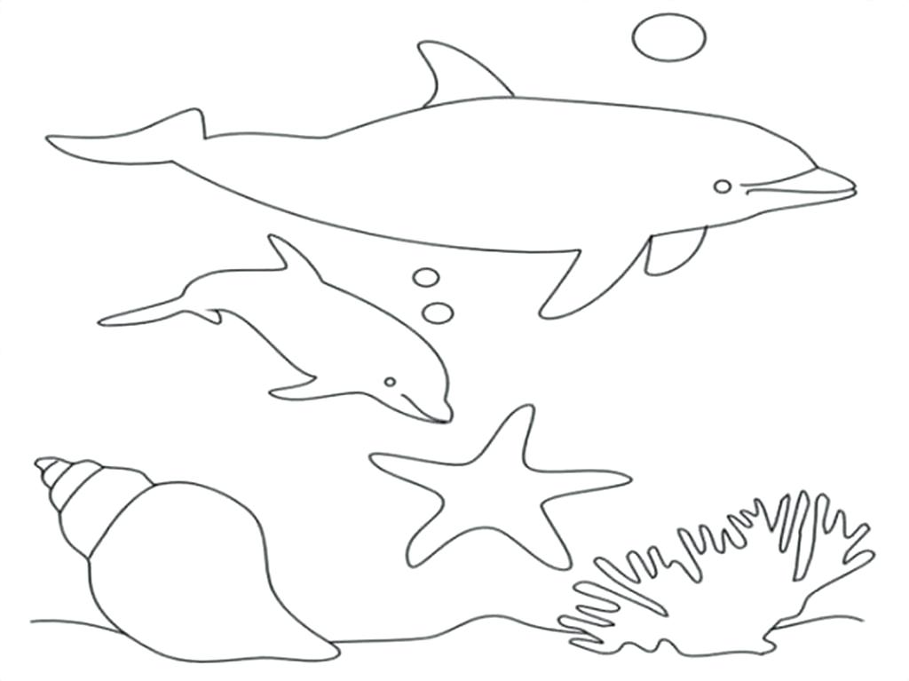1024x767 Dolphin Coloring Book And Dolphin Coloring Page Adult Coloring