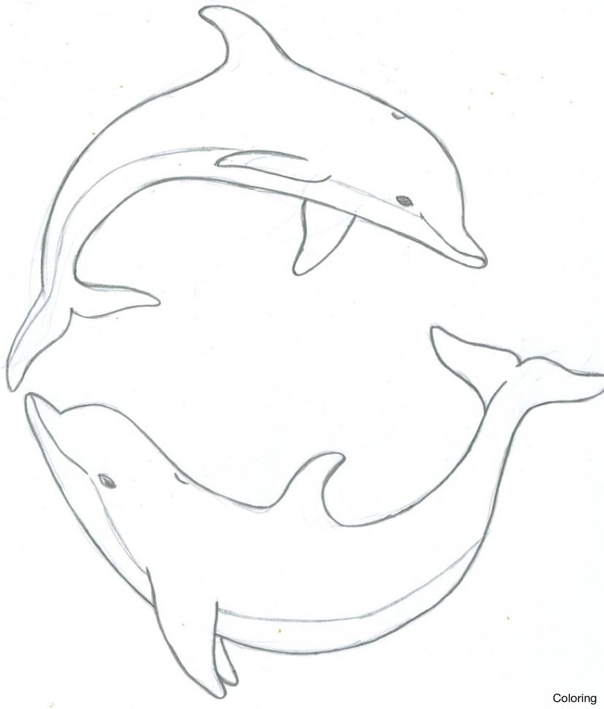 873x1024 Drawn Dolphin Water Drawing 3 Drawings Of Dolphins Coloring Pin 5