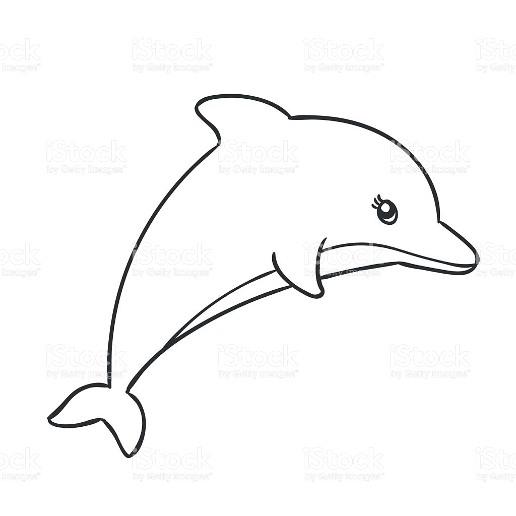 1024x1024 How Draw A Cute Dolphin Step By Step Drawing Tutorial. How
