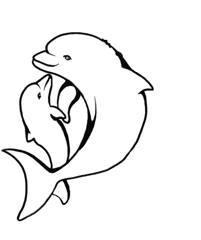 662x790 Dolphin Coloring Page Dolphin Coloring Pages 6 Strange Plants